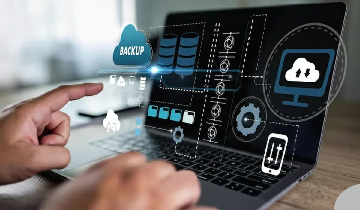 Traditional Software